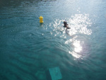 C6-LIFE ANDROS ARCHIVE.jpg