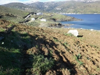 Copyright LIFE Andros archive