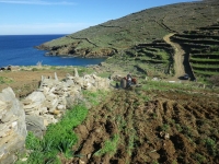 Copyright LIFE Andros archive